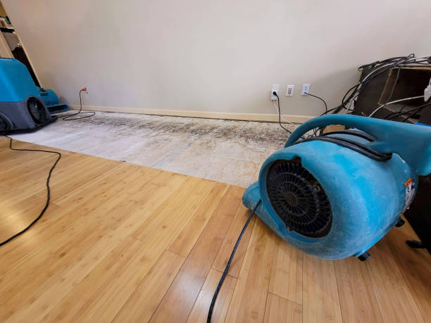 Professional Sewage Cleanup technician working in Paris, ME